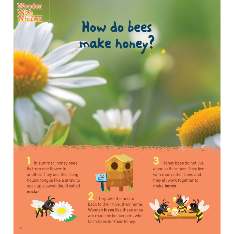 StoryBox: Ages 3-8 (AUDIO INCLUDED) - Image 10