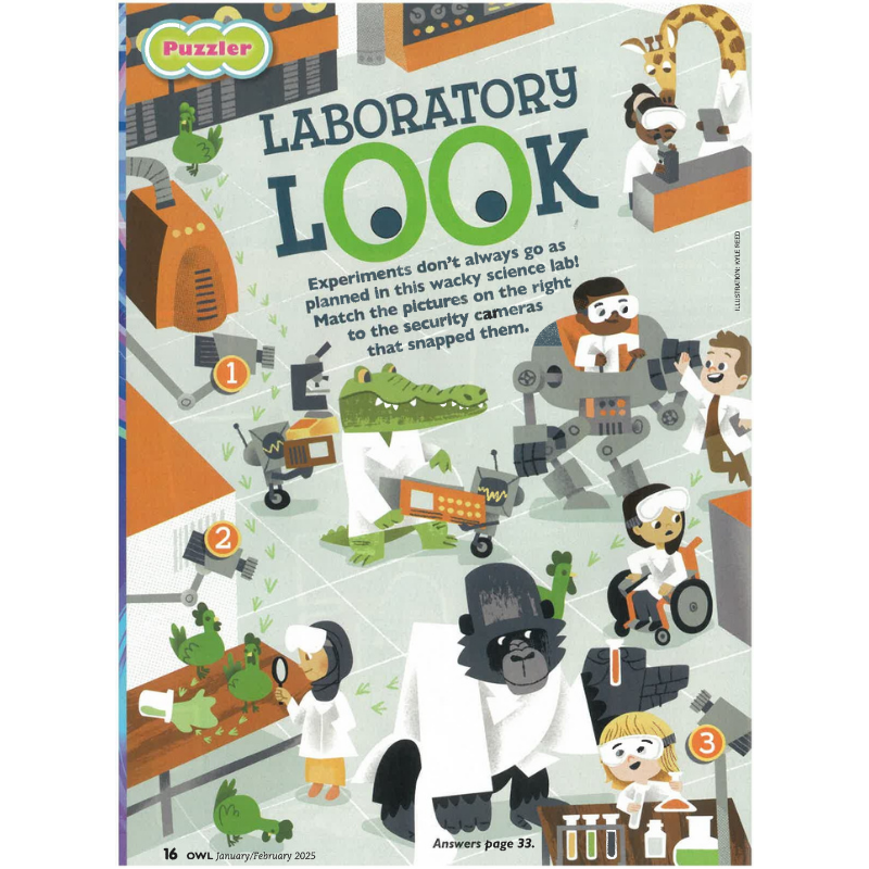 OWL: Ages 9-14 (8 issues) - Image 7