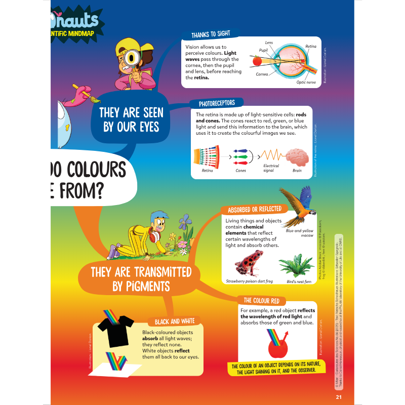 DiscoveryBox: Ages 7-14 - Image 8