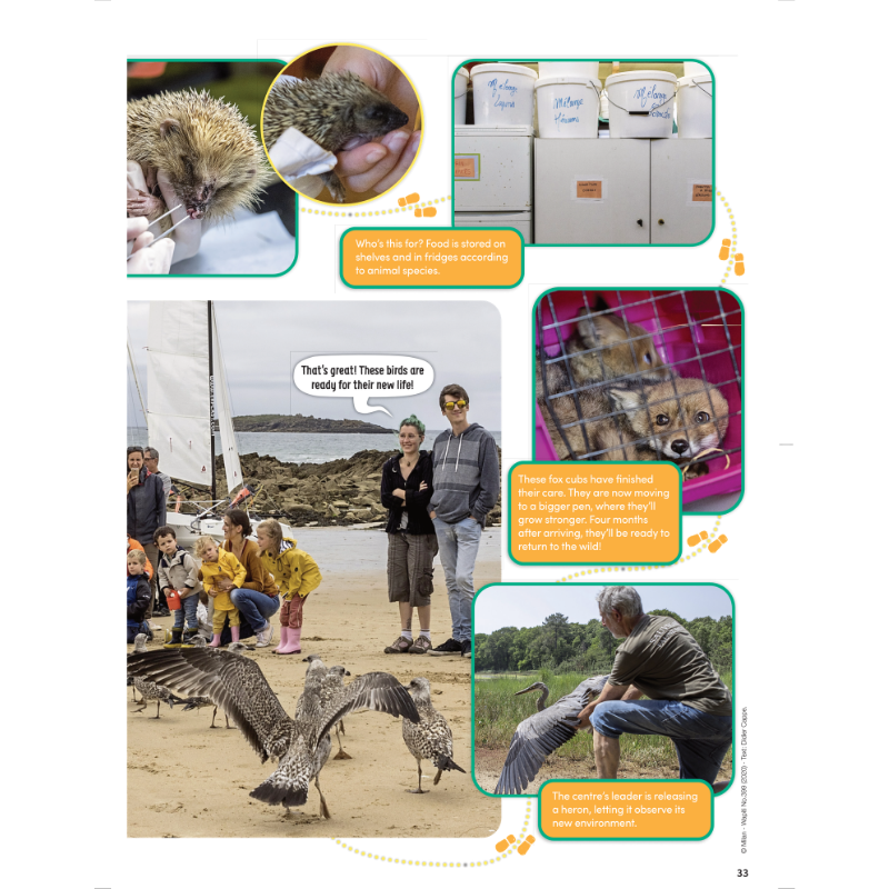 DiscoveryBox: Ages 7-14 - Image 11