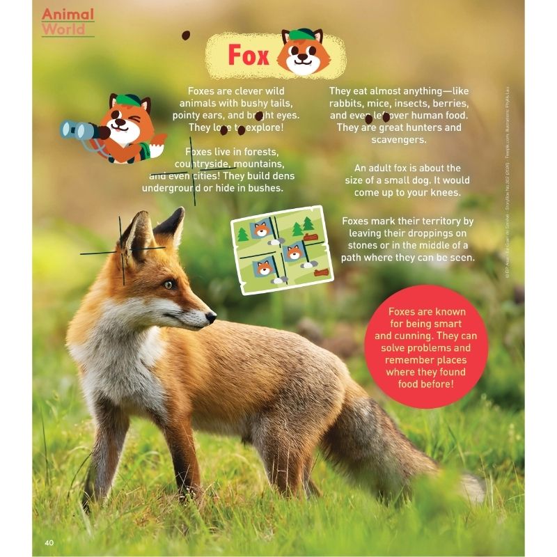 StoryBox: Ages 3-8 (AUDIO INCLUDED) - Image 8