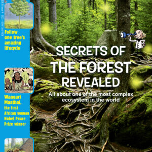 DiscoveryBox Special Edition: Secrets Of The Forest Revealed