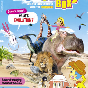 DiscoveryBox-290